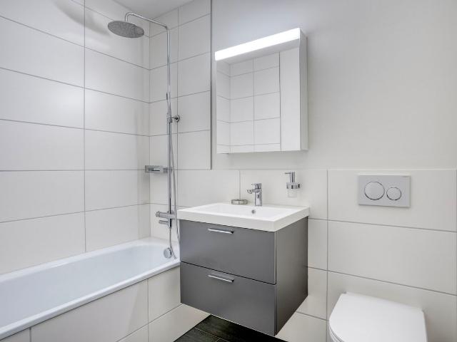 Fashionable 2 Bedroom Apartment in Basel St. Alban, Basel Amsterdam Apartments for Rent