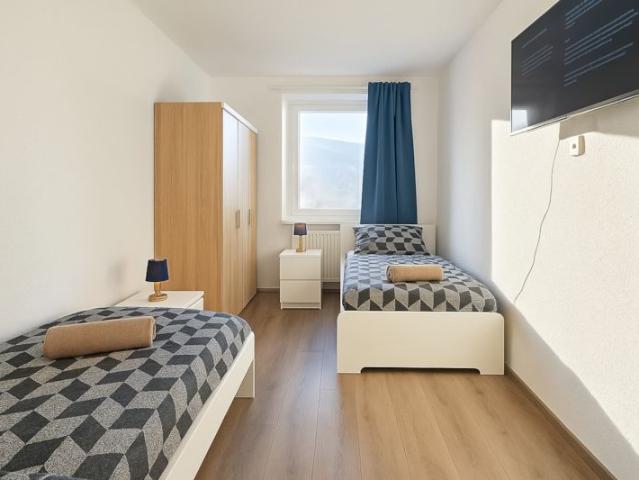 Fashionable and amazing apartment in Merseburg