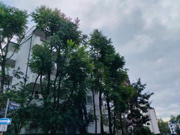 Nibelungenallee, Frankfurt, Holzhausenviertel, Westend Nord