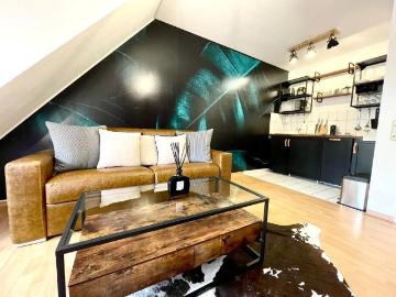 Fashionable, beautiful studio located in Freiburg im Breisgau