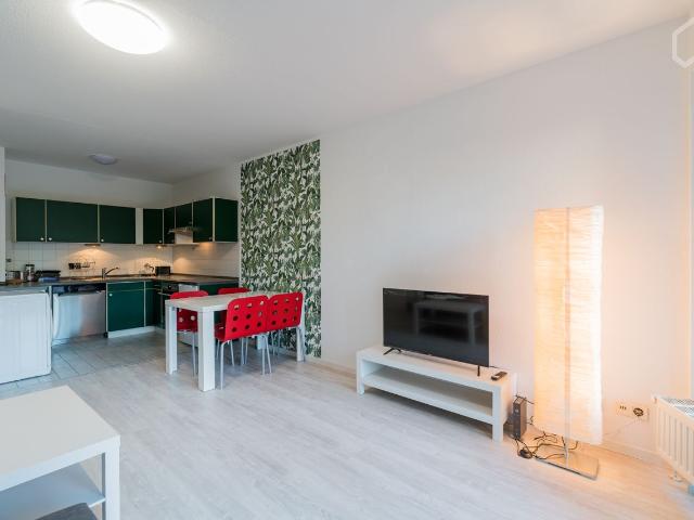 Fashionable, great flat in Pankow, Berlin Amsterdam Apartments for Rent