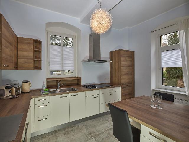 Fashionable, new loft in Dresden, Dresden Amsterdam Apartments for Rent