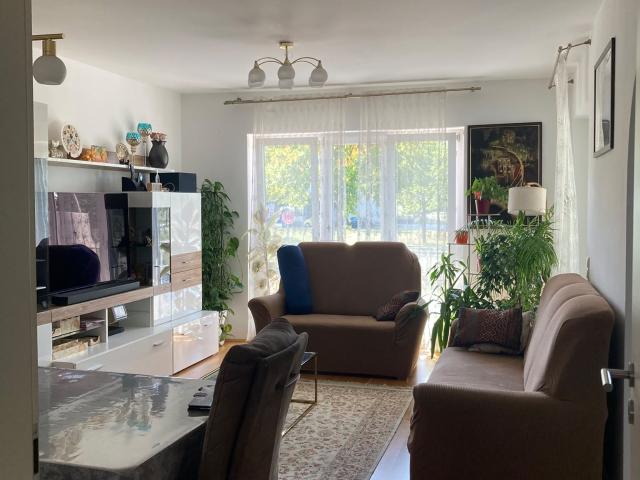 Fashionable & perfect suite in popular area
