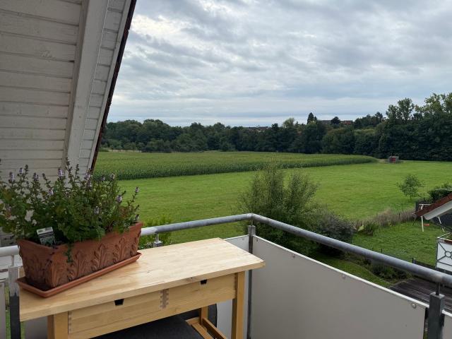 Fashionable & quiet loft in Aschaffenburg, Aschaffenburg Amsterdam Apartments for Rent
