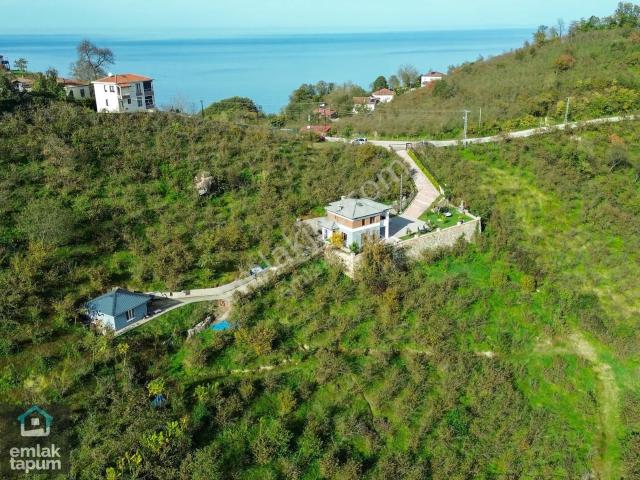 Fatsa Bolaman'da 11.000m2 Arazide Turizm İşletmeli Satılık Villa