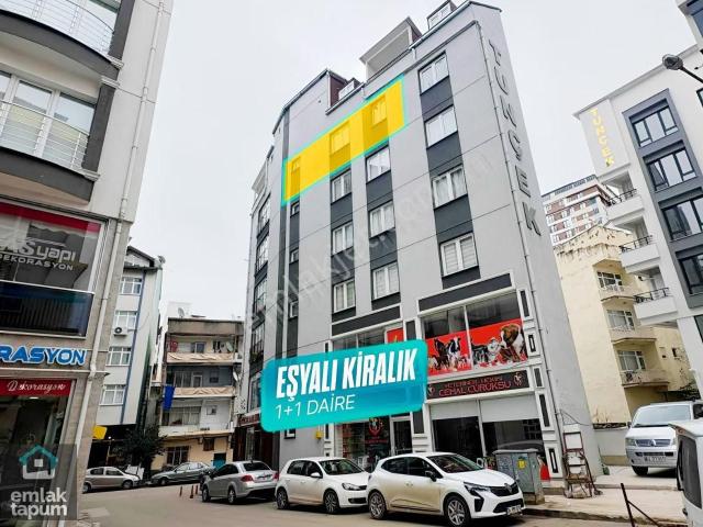Fatsa Dumlupınar 1+1 Full Eşyalı Kiralık Daire