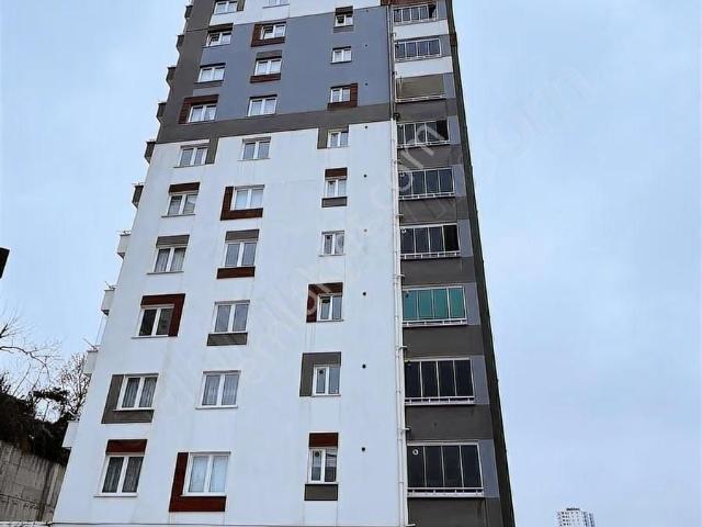 Fatsa Şerefiyede Satılık 3+1 145 M2 Geniş Daire