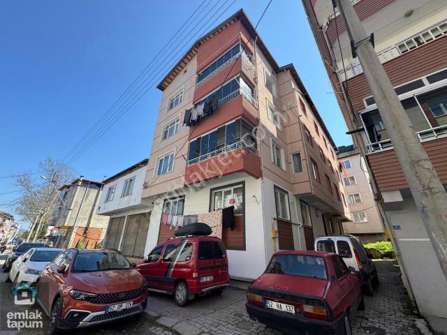 Fatsa Kurtuluş Mahallesi Geniş Kullanışlı Satılık 1+1 Daire