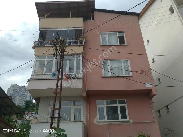 Fatsa Sakarya Mahallesi'nde Kiralık 2+1 Merkezi Daire