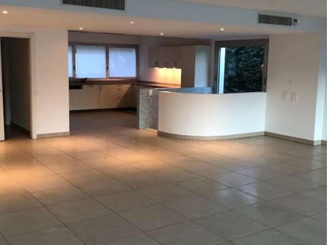 Favoloso e ampio duplex con vista sul Lago di Lugano