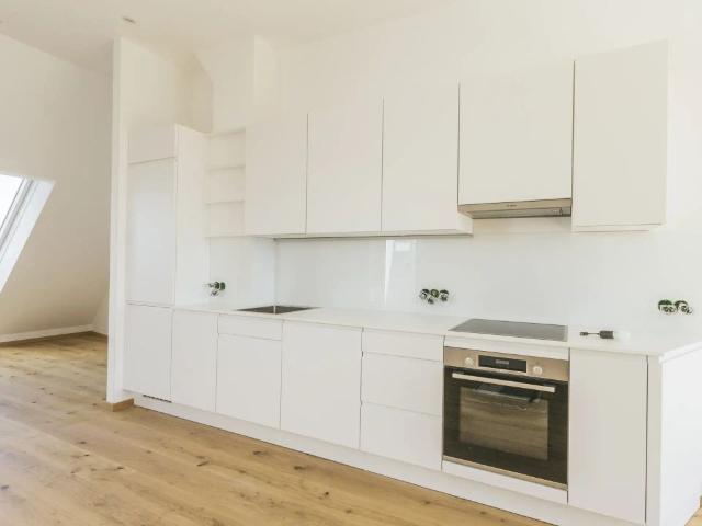 Favorite Spring | Tür 54