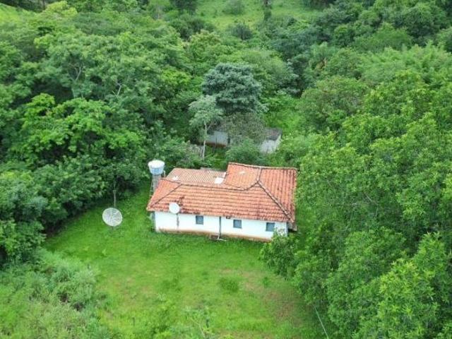 Faz a venda com linda cachoeira