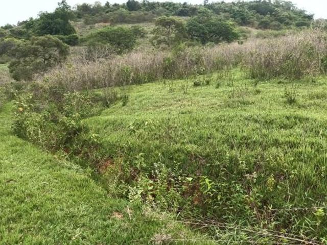 Fazenda, Mulungu, Mesquita, MG