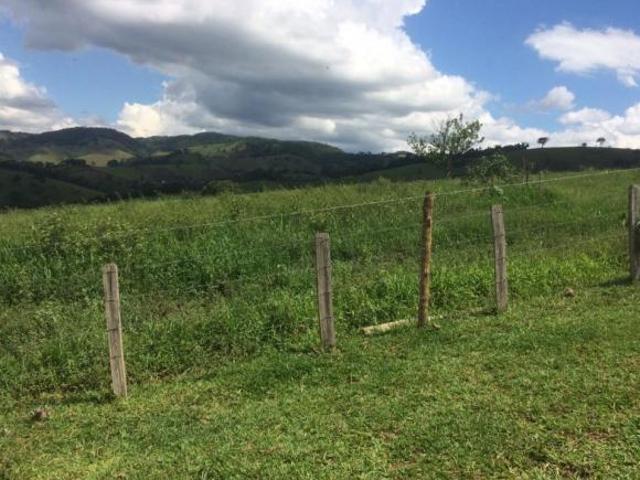 Fazenda Município Cambuí MG