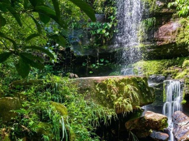 Fazenda Matrinchã à Venda em Israelândia, GO – 10.357.600m²