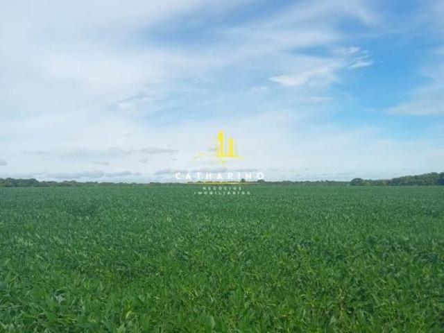 Fazenda Mista em Nobres/MT