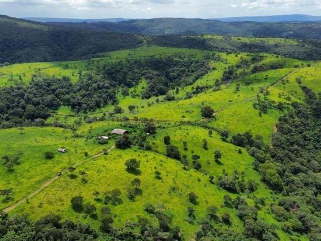 FAZENDA MODELO DE 715 HA À VENDA EM PITANGUI/MG