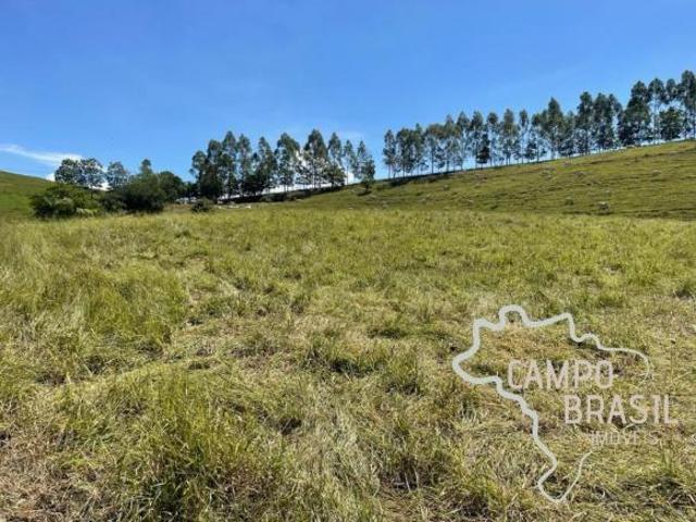FAZENDA MODELO DE 102 HECTARES PARA PECUARISTA EXIGENTE !