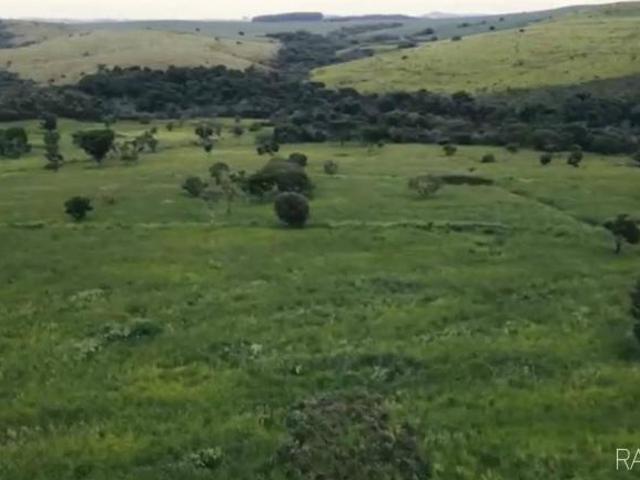 FAZENDA MONTE SIÃO: Uma Oportunidade Única no Triângulo Mineiro!