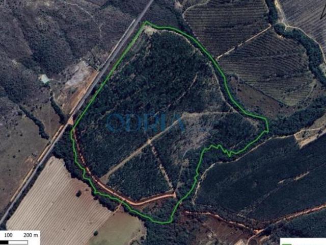 Fazenda na Chapada dos Veadeiros Potencial Turístico e Produtivo 11 Km de Alto Paraíso