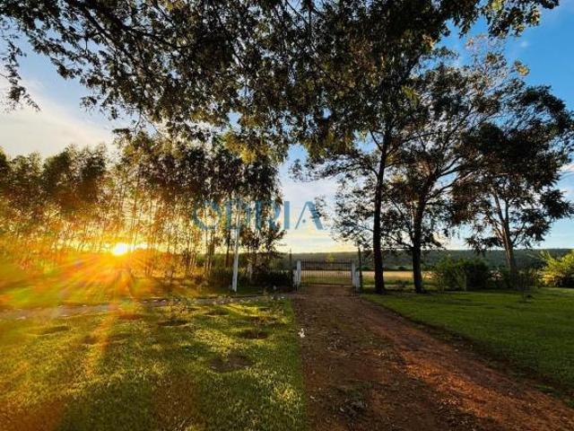 Fazenda na Chapada dos Veadeiros Potencial Turístico e Produtivo 11 Km de Alto Paraíso