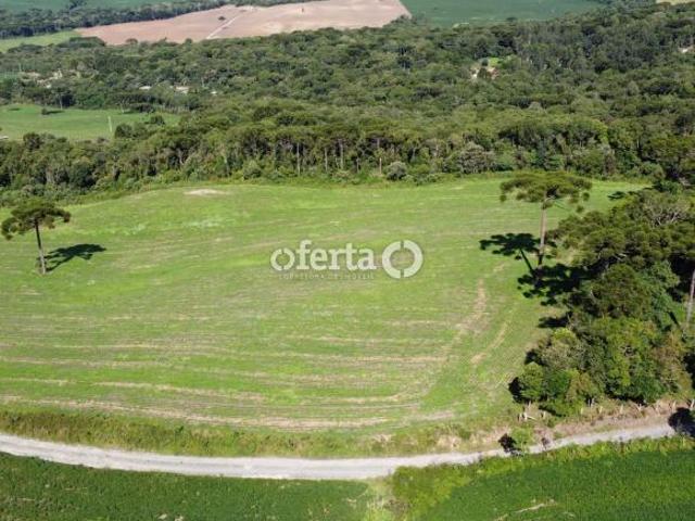 Fazenda na Lapa