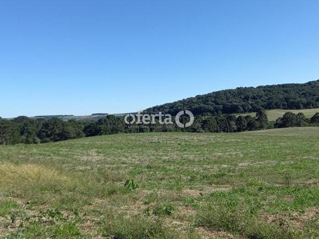 Fazenda na Lapa 80 alqueires