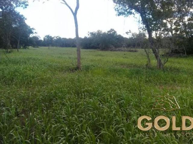 FAZENDA NA PECUARIA