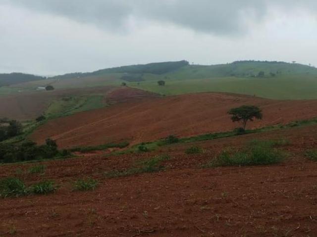 Fazenda na região de Caxambu e Cruzília/ Sul de Minas 300 hectares