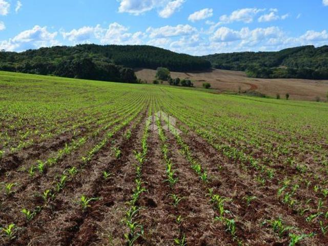 Fazenda na Região de Lagoa Vermelha no RS