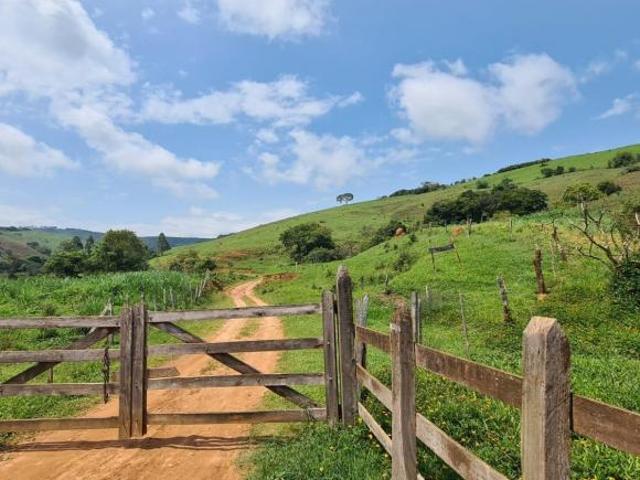 Fazenda na região de São Lourenço e Pouso Alto/MG_203,28 hectares_Pecuária
