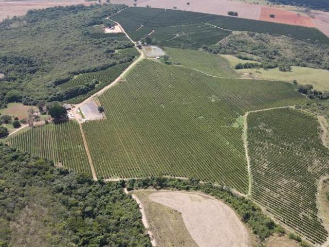 FAZENDA NA REGIÃO DO RIO PIRAPITINGA COM DUPLA APTIDÃO PATROCÍNIO MG