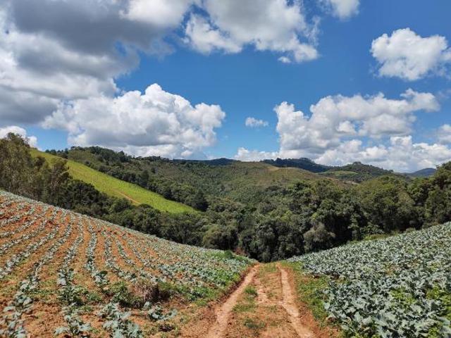 Fazenda na Serra da Mantiqueira Sul de Minas Área total 484.000m2