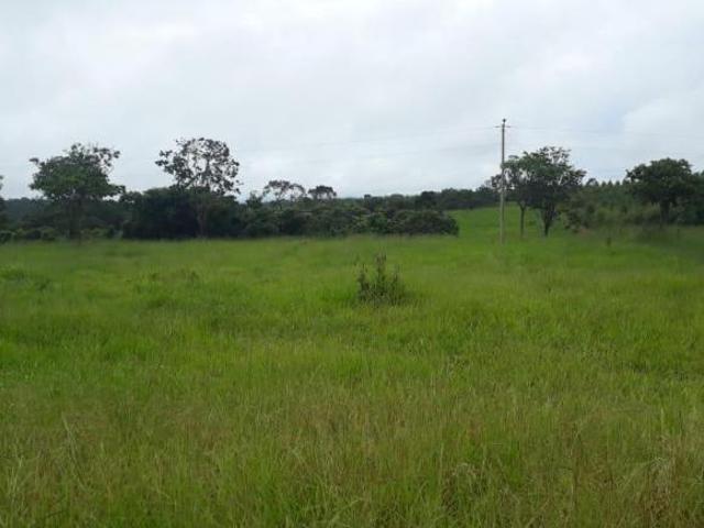 Fazenda no município de Cordisburgo/MG