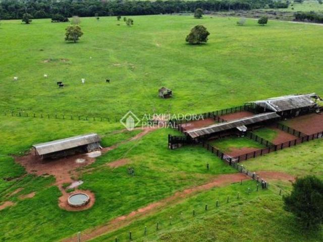 Fazenda no Mato Grosso 411 Hectares / Colíder
