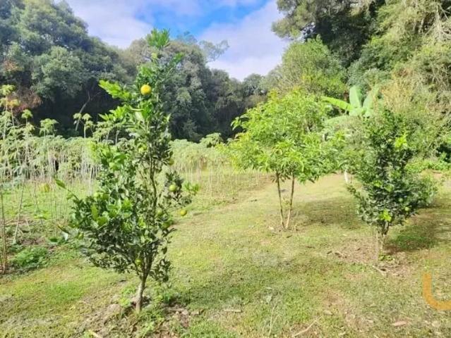 Fazenda no Borda Do Campo de 5000 m² com 3 quartos