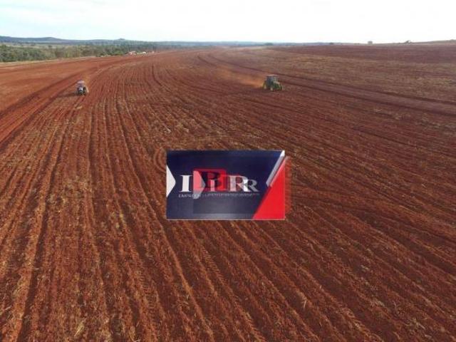 Fazenda no Prata MG