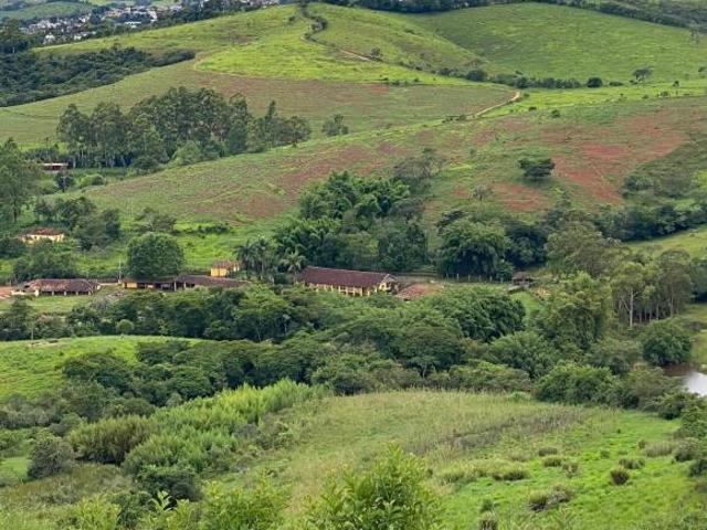 Fazenda no Sul de Minas _ 680 hectares_ Aptidão Pecuária e Agricultura