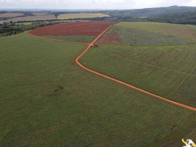 FAZENDA NOTÁVEL EM PERDIZES 255 HECTARES