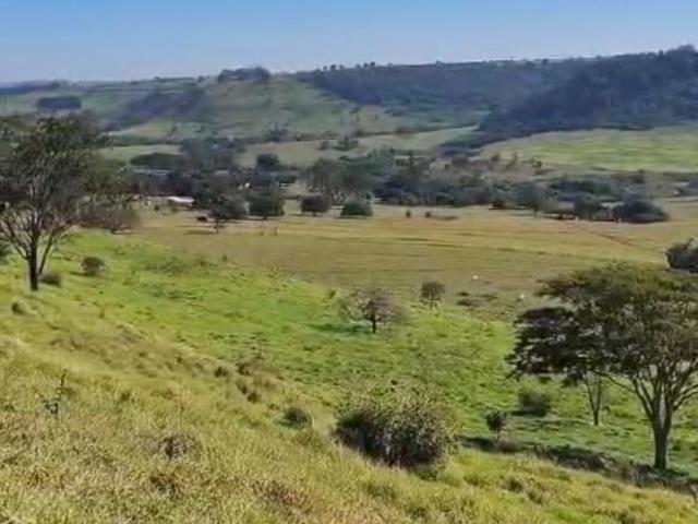 Fazenda ótima logística,boi,grãos,tomate.
