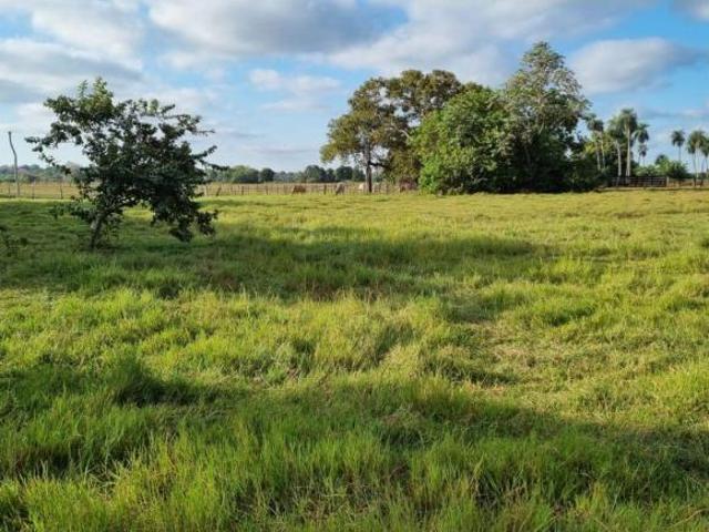 FAZENDA A 80KM DE CUIABÁ MT