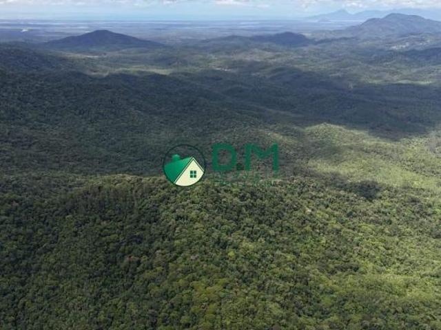 Fazenda à venda, 3 quartos, Canha Jacupiranga/SP