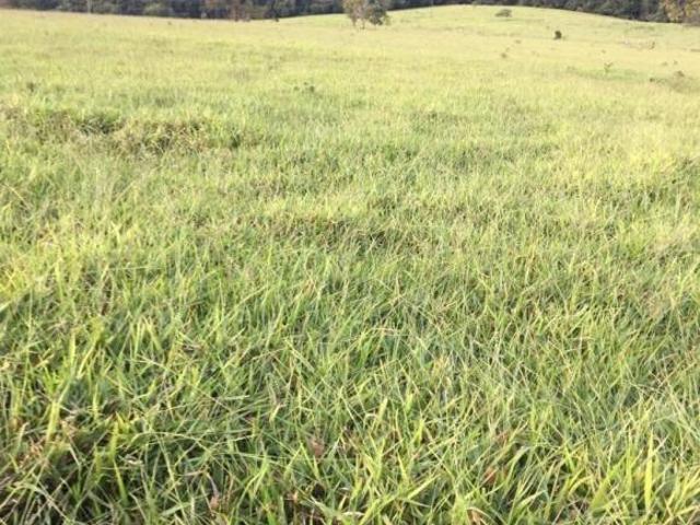 Fazenda à venda, 1089000 m² por R$ 10.000.000,00 Fazenda Velha Estiva/MG