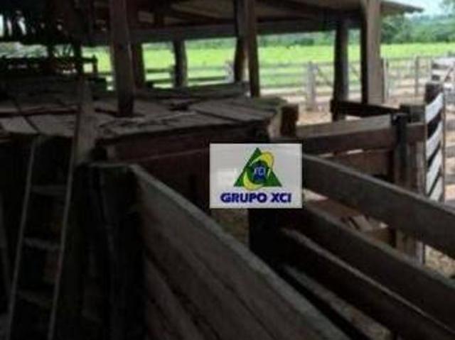 Fazenda à venda, 10000000 m² por R$ 25.000.000,00 Rural Pontal do Araguaia/MT