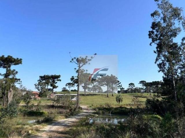 Fazenda à venda, 1016400 m² por R$ 6.500.000,00 Rural São João do Triunfo/PR