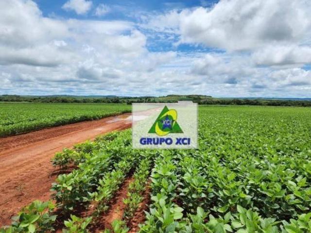 Fazenda à venda, 10340000 m² por R$ 45.000.000,00 Vila Cardoso Rondonópolis/MT