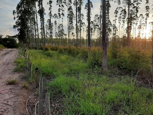 FAZENDA À VENDA, 1181400 M² POR R$ 9.800.000 ZONA RURAL ALTINÓPOLIS/SP