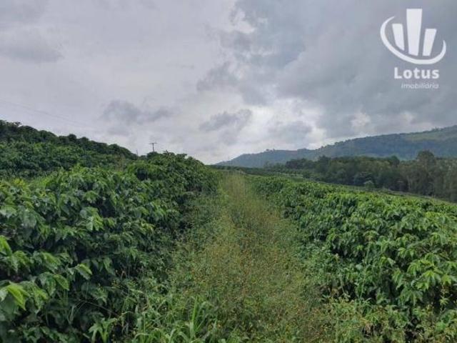 Fazenda à venda, 1260000 m² por R$ 21.000.000,00 Zona Rural São Gonçalo do Sapucaí/MG