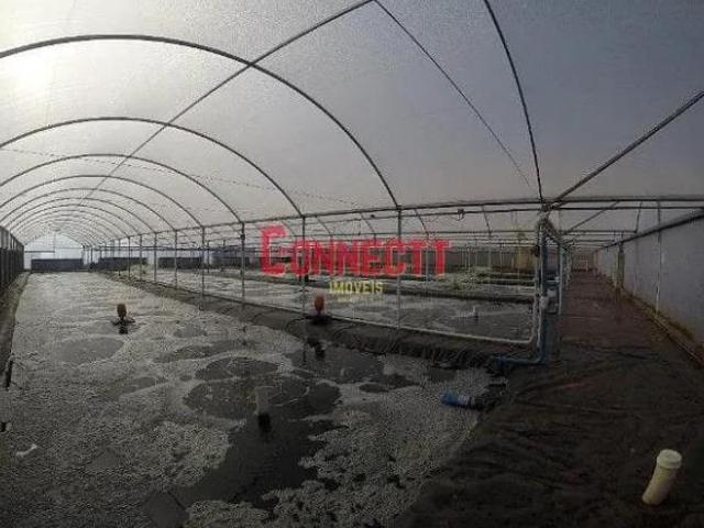 Fazenda à venda, 135000 m² por R$ 2.820.000,00 Zona Rural Ribeirão Preto/SP