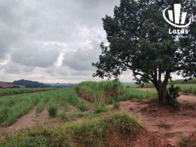 Fazenda à venda, 138,00hectares por R$ 23.400.000 Área Rural de Limeira Limeira/SP